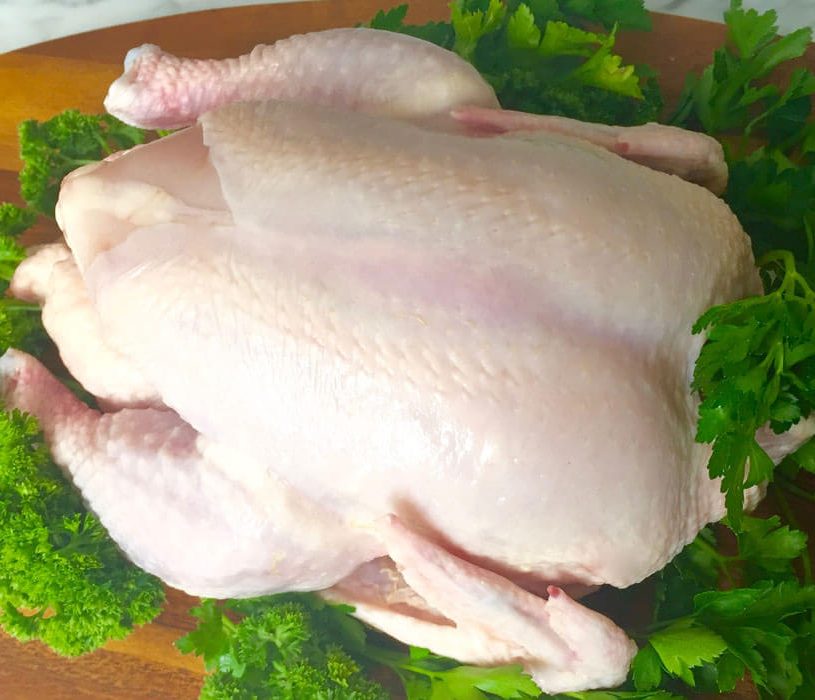Organic Lacto Chicken in Singapore: What You Can Expect?